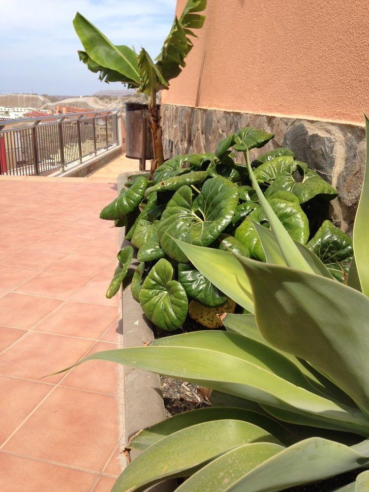 Balcon Del Mar Apart otel Puerto Rico  Dış mekan fotoğraf
